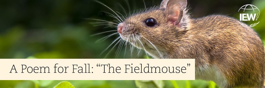 the field mouse poem